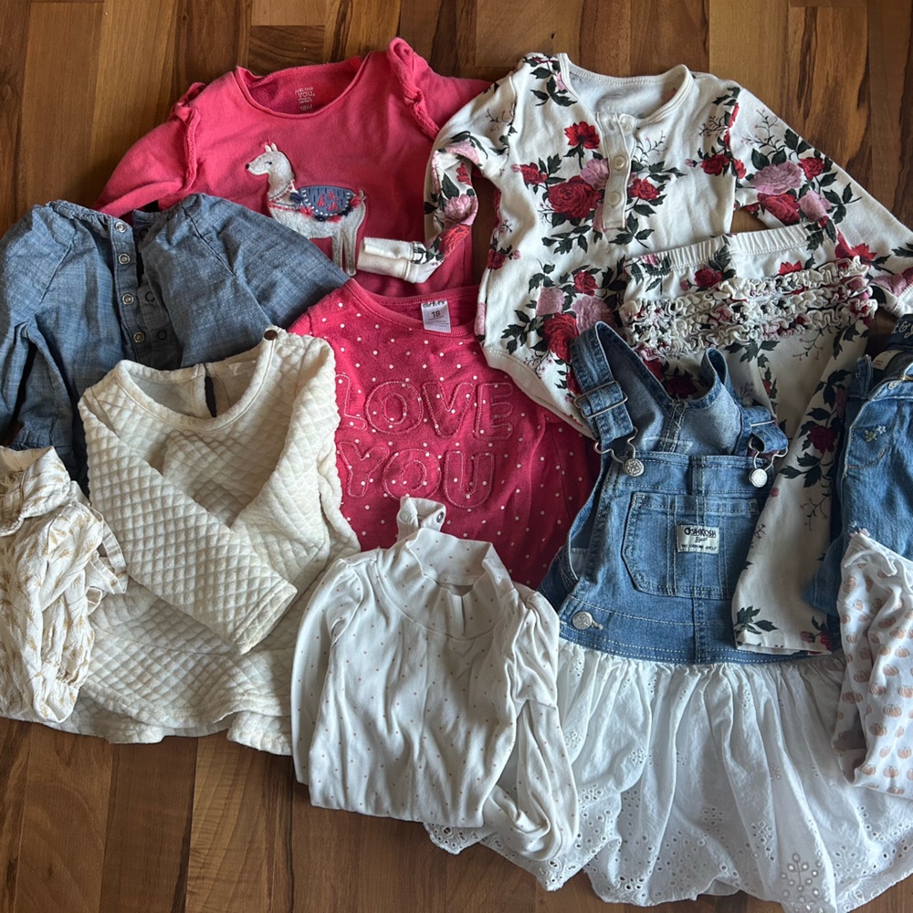 Winter Baby Girl Bundle 18mo